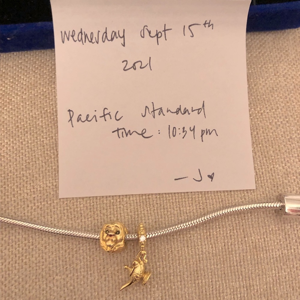 Genie lamp & lion king charms only | 2 for 1 deal